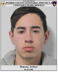 Mark Herman, Harris County Constable Precinct 4