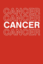 Your finances will be stable and all your accounts in order. Cancer Astrology Natal Chart Star Birth Moon Sign Interpretation Of Zodiac House Signs Journals Be Creative 9781702306393 Amazon Com Books