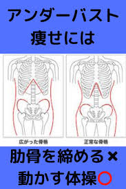 アンダーバスト痩せには肋骨を締めるのではなく 動かそう 腹部のエクササイズ ダイエット 痩せる ダイエット ビフォーアフター