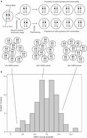 Kidney disease (such as kidney stones), a certain enzyme deficiency (g6pd deficiency). Primaquine Induced Haemolysis In Females Heterozygous For G6pd Deficiency Malaria Journal Full Text