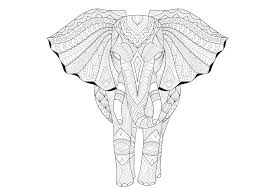 794 x 519 jpg pixel. Kleurplaat Olifant 70 Kleurplaten Van Makkelijk Tot Moeilijk
