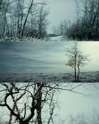The Assassination Of Jesse James By The Coward Robert Ford Cinematography The Assassination Of Jesse James By The Coward Robert Ford Cinematography Roger Deakins Assassination Of Jesse James