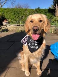 New to the group, sharing our golden engagement story