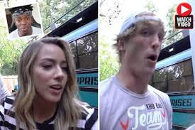 Still dating his girlfriend casey boonstra? Ksi Rinsed By Logan Paul S Girlfriend As War Of Words Between Youtube Stars Continues Daily Star