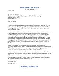 19 Job Application Letter Examples Word Examples