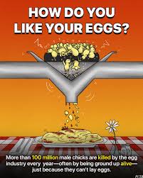 PETA (People for the Ethical Treatment of Animals)