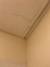 Ceiling Water Stain