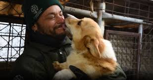 Thank you for your kindess! 13 Dogs Rescued From South Korean Dog Meat Farm Coming To Southeast Wisconsin