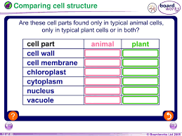 Check spelling or type a new query. Ks3 Biology 7a Cells Ppt Download