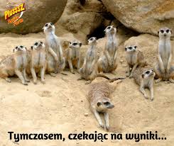 O k j w glikanian pazdanu. Plusssz Beitrage Facebook