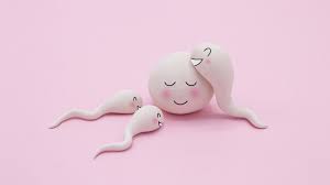 Natural Fertility The Essential Guide To Improving Your Fertility Naturally