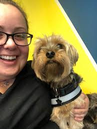 Cheeseburger places near Marigny/Bywater area?