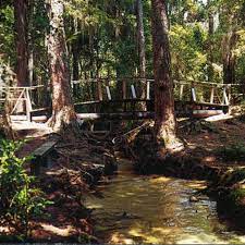 Mike roess gold head branch. Camping Mike Roess Gold Head Branch State Park In Florida 50 Campfires