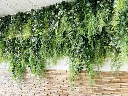 天井 フェイク グリーン