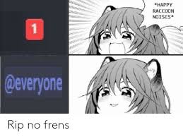 Happy Raccoon Noises Rip No Frens Anime Meme On Me Me