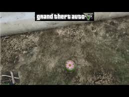 Pc Gta 5 Gizli Peyote Bitkisi 1 Herhangi Bir Hayvana Donusme Youtube