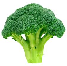 Image result for broccoli