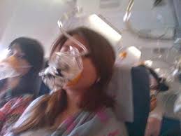 Tapi hingga kini penyebab pesawat lion air mendarat di laut dekat bandara ngurah rai bali belum diketahui secara pasti. Banyak Foto Foto Hoax Terkait Pesawat Lion Air Jatuh Di Laut Karawang Ini Dia Bonsaibiker
