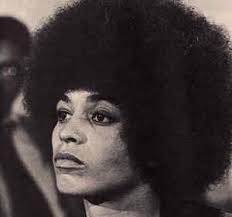 Cinzia Arruzza:Donne, razza e classe