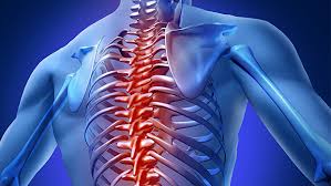 These muscles may be located anteriorly, posteriorly, and/or laterally. 5 Of The Best Thoracic Spine Mobility Exercises Bsr Physical Therapy
