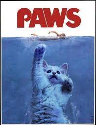 One Letter Off Movies Crazy Cats Cat Attack Cats