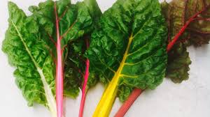 Maybe you would like to learn more about one of these? Grow Your Own Urban Edible Garden Cityplot