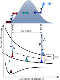 Calculate the average potential energy and average kinetic energy of the electron. Electron Ion Coincidence Measurements Of Molecular Dynamics With Intense X Ray Pulses Scientific Reports
