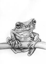 Pin On Pencil Drawing