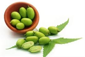 Huile De Neem Bienfaits De L Huile De Neem Bio Contre Les Infections Cutanees Et Les Poux Doctissimo