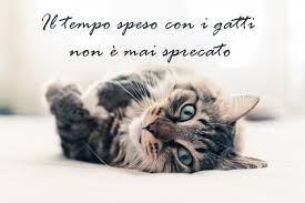 Per tutto questo, e anche tanto altro, il 17 febbraio si festeggia la giornata mondiale del gatto, una ricorrenza nata nel 1990. Giornata Del Gatto 7 Immagini Con Frasi Gratis Donnad