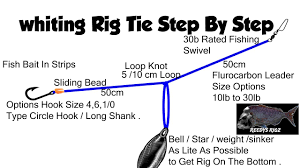 Whiting Rig Tie Fishing Rigs Make Rigs Tying Diagram Fast Current