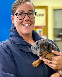 Introduction to store team members