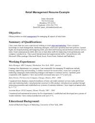 Resume Objective Statement For Sales Blog Writing Service