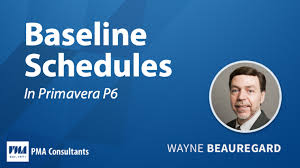 Baseline (configuration management), the process of managing change. Using Primavera P6 To Create Maintain Assign Baseline Schedules Pma Technologies