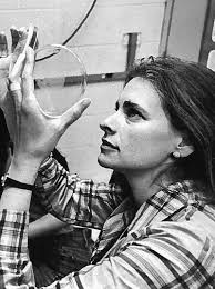 Celebrating a Scientific Life: Lucy Shapiro