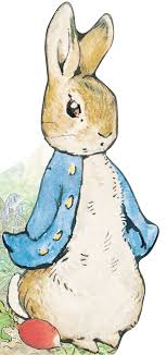 Current price is $22.49, original price is $24.99. All About Peter Peter Rabbit Potter Beatrix 9780241324554 Amazon Com Books