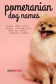If you still can't decide on a name, i. Pomeranian Dog Names Over 300 Gorgeous Ideas Petpress