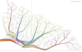 Self Reflected Gallery Greg Dunn Neuro Art Art Neuroscience Art Greg Dunn