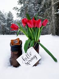 We did not find results for: Spring Frost Keeping Plants Safe