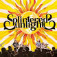 Splintered Sunlight