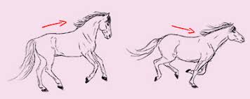 In times of tribulation only remains to remain serenity, only love takes the rise, relaxes and releases everything #galopp #hope #motherearth. Galopp Aussitzen So Bildest Du Eine Einheit Mit Deinem Pferd Herzenspferd