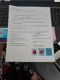 Maybe you would like to learn more about one of these? Solved 11 The Cell Membrane Is Made Of A P 12 The Cell Chegg Com
