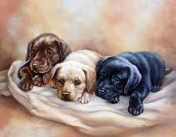 Luca S Met Afbeeldingen Honden Schilderijen Hond Kunst Honden