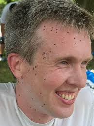 Bugs and heatwave protein intake concerns