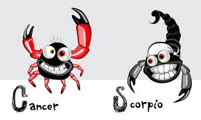 If their love is deep, they will show each other the seemingly unreachable side of emotions and this can keep cancer compatibility with scorpio in love, life, sex, communication, friendship and trust. Cancer And Scorpio Is It A Bad Idea For These Signs Astronlogia