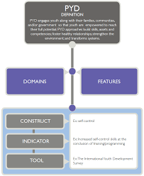 A performance indicator or key performance indicator (kpi) is a type of performance measurement. Positive Youth Development Pyd Indicators Youthpower