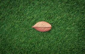 Maybe you would like to learn more about one of these? How To Lay Artificial Grass On Concrete Stone Tapi