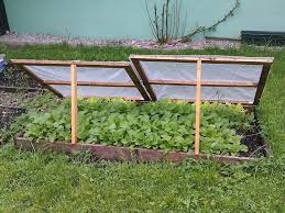We did not find results for: The Best Cold Frames For Extending Seasons Year Round Gardening