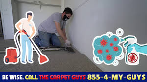 Metro detroit carpet, hardwood, laminate and vinyl experts. The Carpet Guys And Our Community