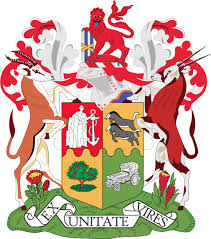 Interim Constitution South Africa Wikipedia